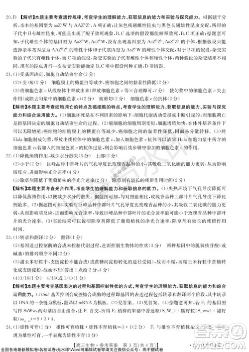 2022届湖北金太阳11月联考高三生物试题及答案