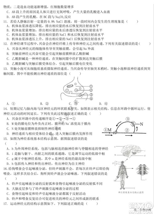 哈尔滨市第六中学2020级上学期期中考试高二生物试题及答案