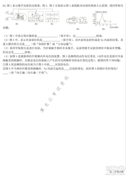 哈尔滨市第六中学2020级上学期期中考试高二生物试题及答案