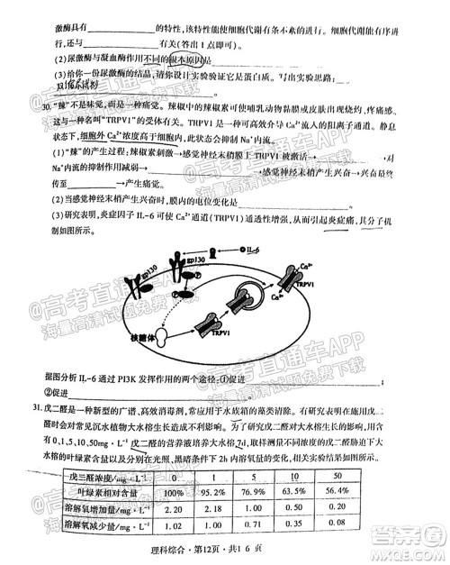 四省八校2022届高三第一学期期中质量检测考试理科综合试题及答案