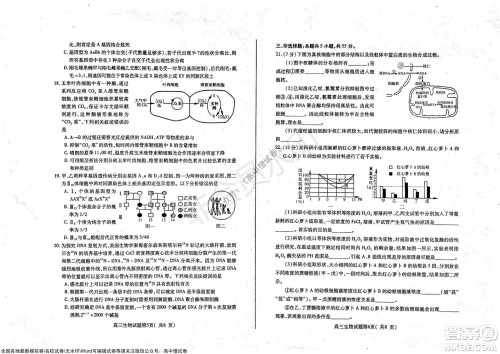 山东烟台2021-2022学年度第一学期期中学业水平诊断高三生物试题及答案 山东烟台2021-2022学年度第一学期期中学业水平诊断高三生物试题及答案