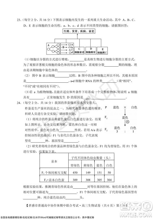 2021-2022学年度上学期孝感市普通高中协作体期中联合考试高三生物试卷及答案 2021-2022学年度上学期孝感市普通高中协作体期中联合考试高三生物试卷及答案