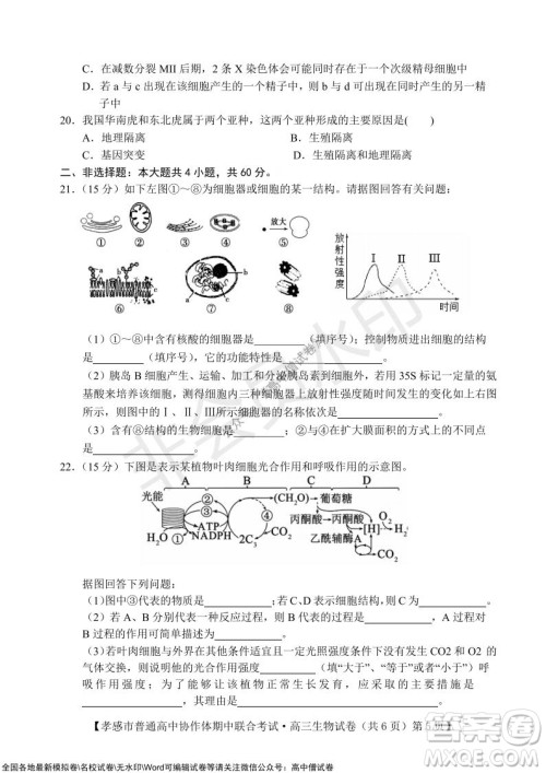 2021-2022学年度上学期孝感市普通高中协作体期中联合考试高三生物试卷及答案 2021-2022学年度上学期孝感市普通高中协作体期中联合考试高三生物试卷及答案