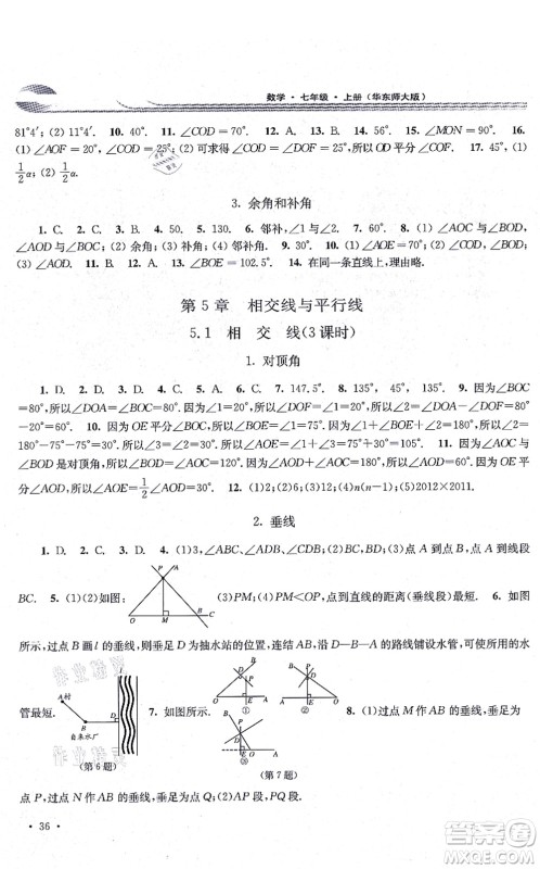 华东师范大学出版社2021学习检测七年级数学上册华东师大版河南专版答案