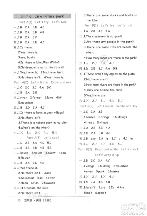 内蒙古少年儿童出版社2021细解巧练五年级英语上册人教版参考答案