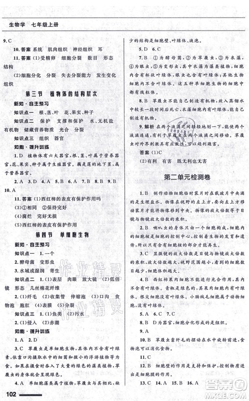 甘肃教育出版社2021生物配套综合练习七年级上册人教版答案 甘肃教育出版社2021生物配套综合练习七年级上册人教版答案