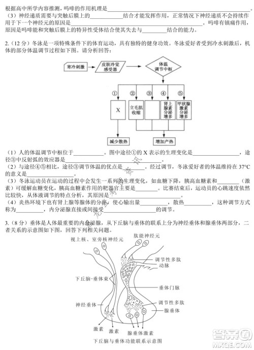 哈师大附中2020级高二上学期期中考试生物试卷及答案