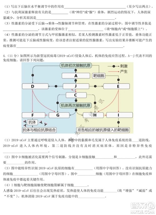 哈师大附中2020级高二上学期期中考试生物试卷及答案