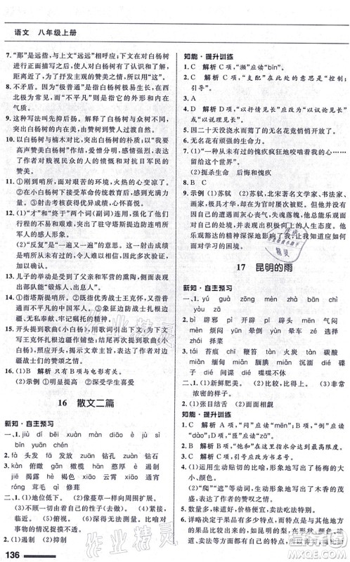 甘肃教育出版社2021语文配套综合练习八年级上册人教版答案 甘肃教育出版社2021语文配套综合练习八年级上册人教版答案