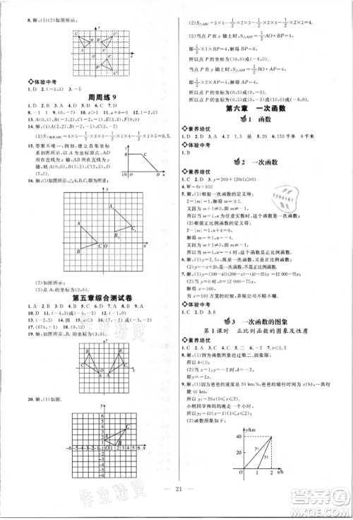 内蒙古少年儿童出版社2021细解巧练七年级数学上册鲁教版参考答案