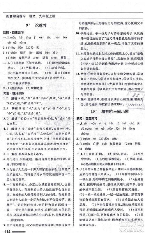 北京师范大学出版社2021语文配套综合练习九年级上册人教版答案