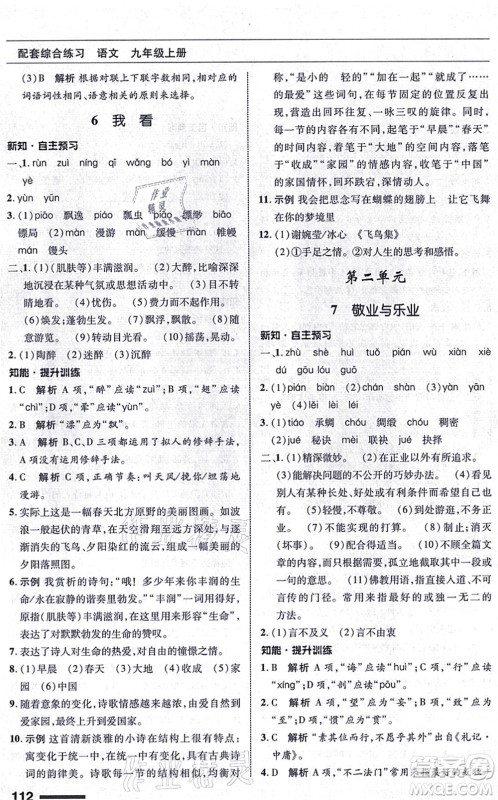 北京师范大学出版社2021语文配套综合练习九年级上册人教版答案 北京师范大学出版社2021语文配套综合练习九年级上册人教版答案