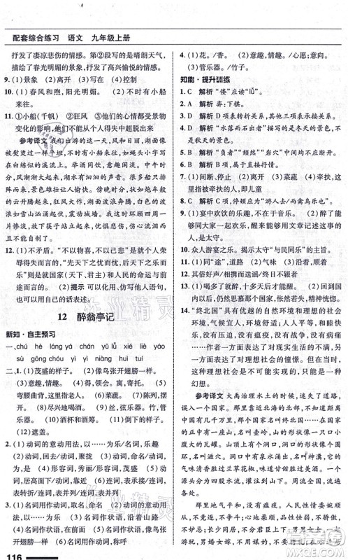 北京师范大学出版社2021语文配套综合练习九年级上册人教版答案 北京师范大学出版社2021语文配套综合练习九年级上册人教版答案