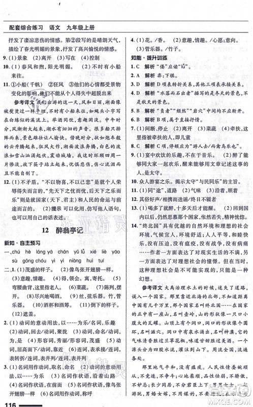 北京师范大学出版社2021语文配套综合练习九年级上册人教版答案