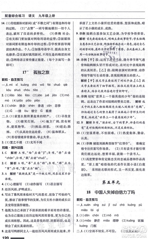 北京师范大学出版社2021语文配套综合练习九年级上册人教版答案