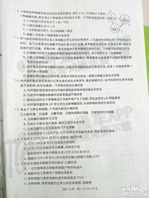 2022届山西金太阳高三11月联考生物试题及答案 2022届山西金太阳高三11月联考生物试题及答案