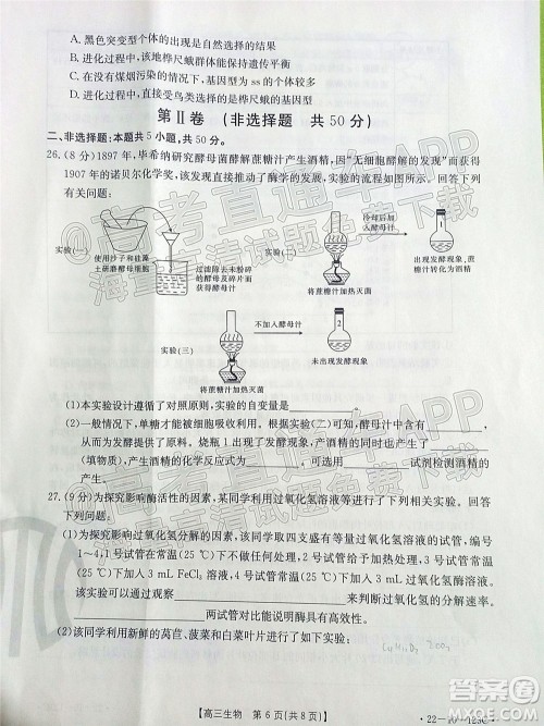 2022届山西金太阳高三11月联考生物试题及答案