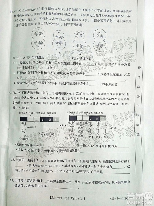 2022届山西金太阳高三11月联考生物试题及答案