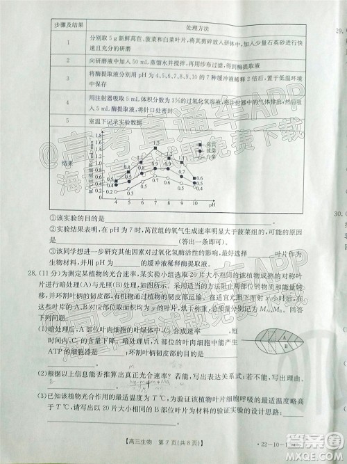 2022届山西金太阳高三11月联考生物试题及答案