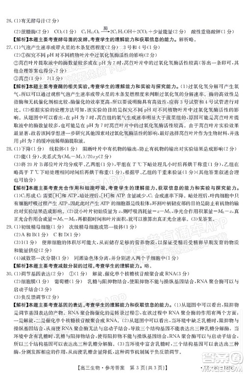 2022届山西金太阳高三11月联考生物试题及答案 2022届山西金太阳高三11月联考生物试题及答案