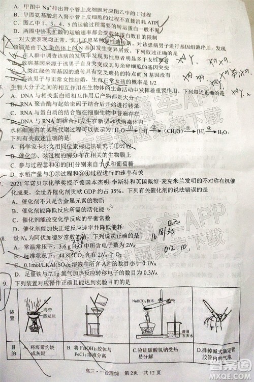 泸州市高2019级第一次教学质量诊断性考试理科综合试题及答案