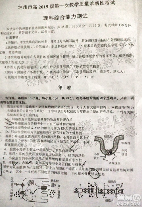 泸州市高2019级第一次教学质量诊断性考试理科综合试题及答案 泸州市高2019级第一次教学质量诊断性考试理科综合试题及答案