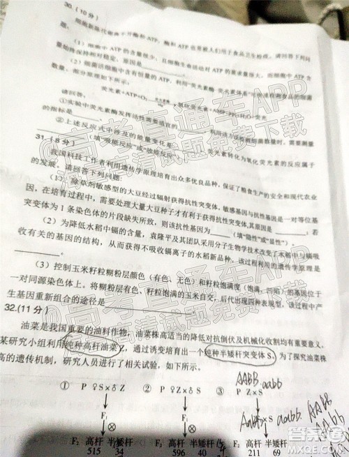 泸州市高2019级第一次教学质量诊断性考试理科综合试题及答案 泸州市高2019级第一次教学质量诊断性考试理科综合试题及答案