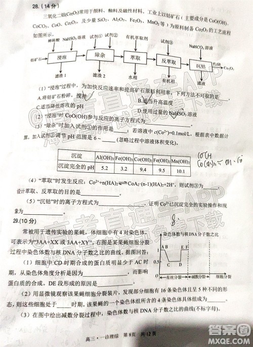 泸州市高2019级第一次教学质量诊断性考试理科综合试题及答案