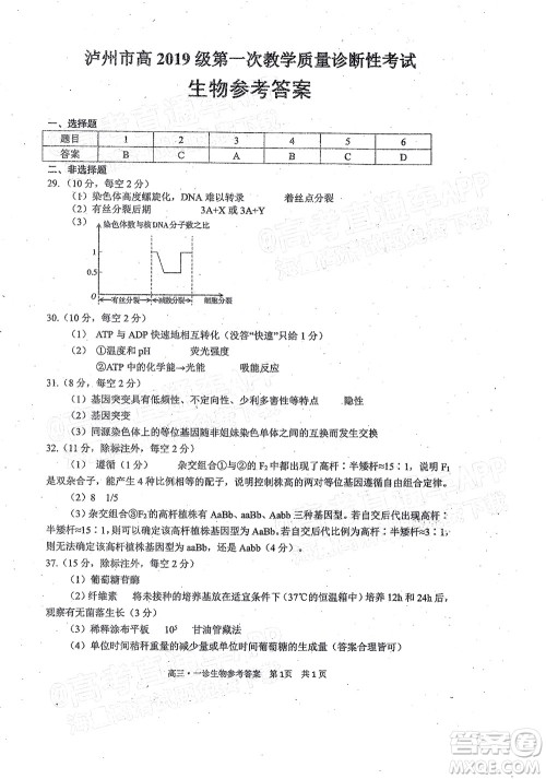 泸州市高2019级第一次教学质量诊断性考试理科综合试题及答案 泸州市高2019级第一次教学质量诊断性考试理科综合试题及答案