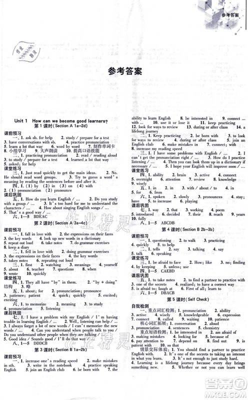 大象出版社2021初中同步练习册九年级英语全一册人教版答案
