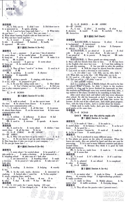大象出版社2021初中同步练习册九年级英语全一册人教版答案
