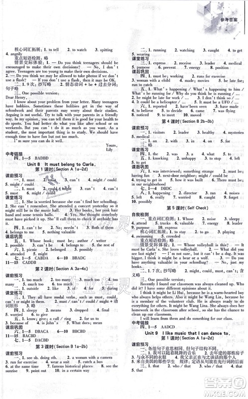 大象出版社2021初中同步练习册九年级英语全一册人教版答案