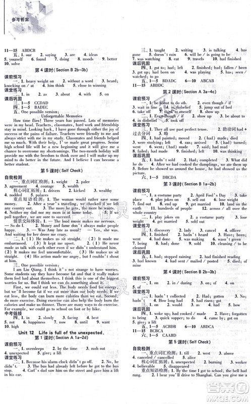 大象出版社2021初中同步练习册九年级英语全一册人教版答案