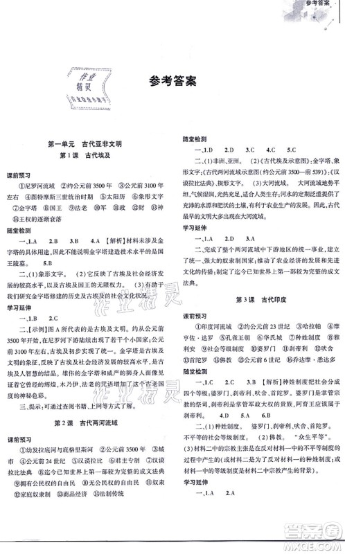 大象出版社2021初中同步练习册九年级历史上册人教版答案