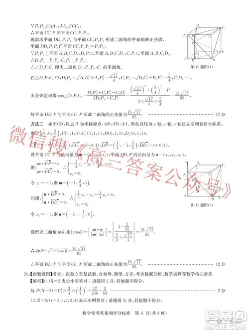 华大新高考联盟2022届高三11月教学质量测评数学试题及答案