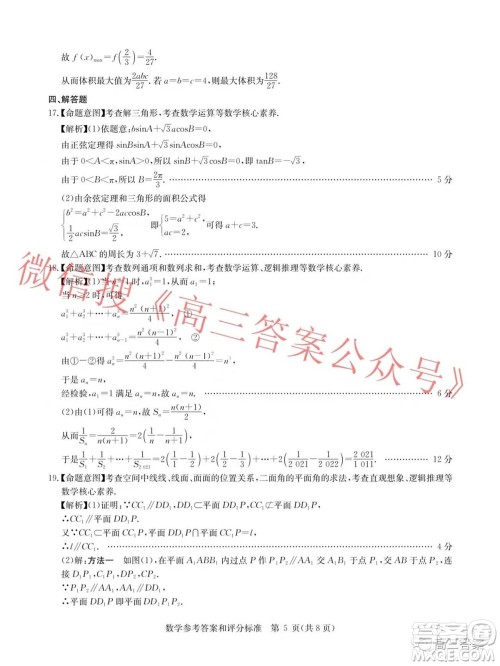 华大新高考联盟2022届高三11月教学质量测评数学试题及答案