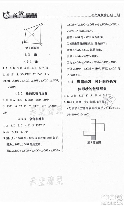 开明出版社2021高效课时通10分钟掌控课堂七年级数学上册RJ人教版答案