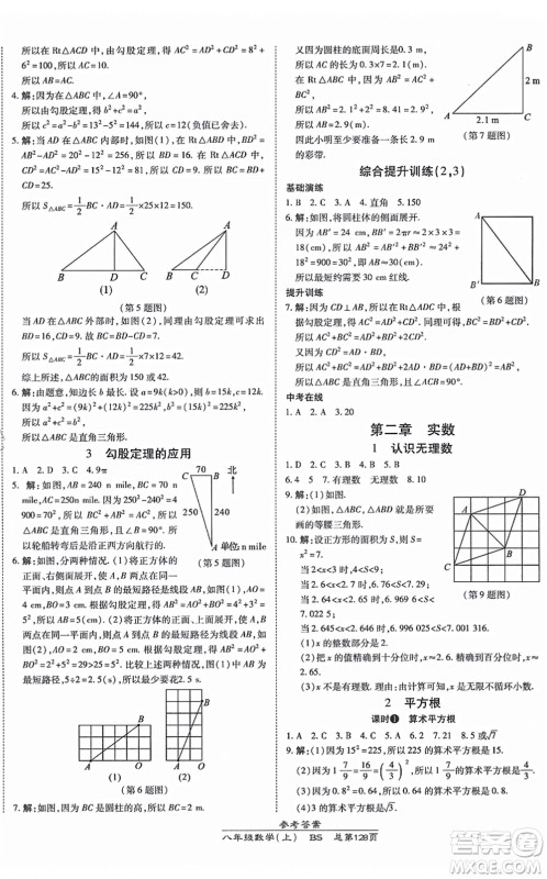 开明出版社2021高效课时通10分钟掌控课堂八年级数学上册BS北师版答案 开明出版社2021高效课时通10分钟掌控课堂八年级数学上册BS北师版答案
