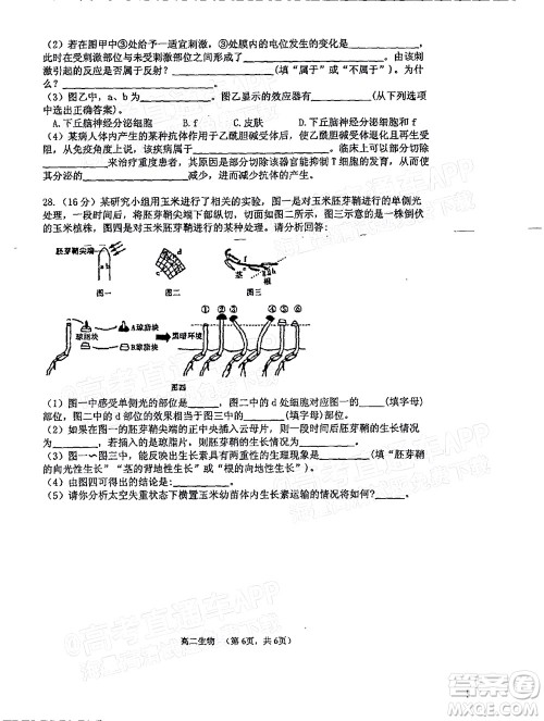 2021年11月平顶山市九校联盟中考联考试题高二生物试题及答案