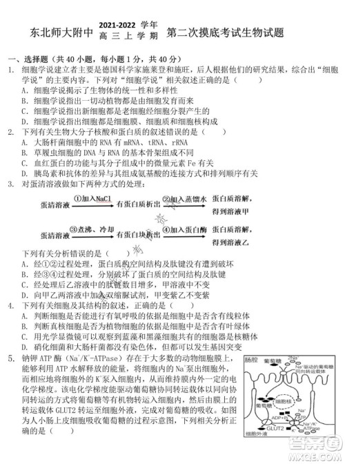 东北师大附中2021-2022高三上学期第二次摸底考试生物试题及答案 东北师大附中2021-2022高三上学期第二次摸底考试生物试题及答案