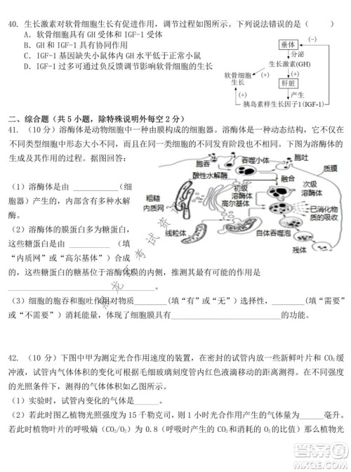 东北师大附中2021-2022高三上学期第二次摸底考试生物试题及答案