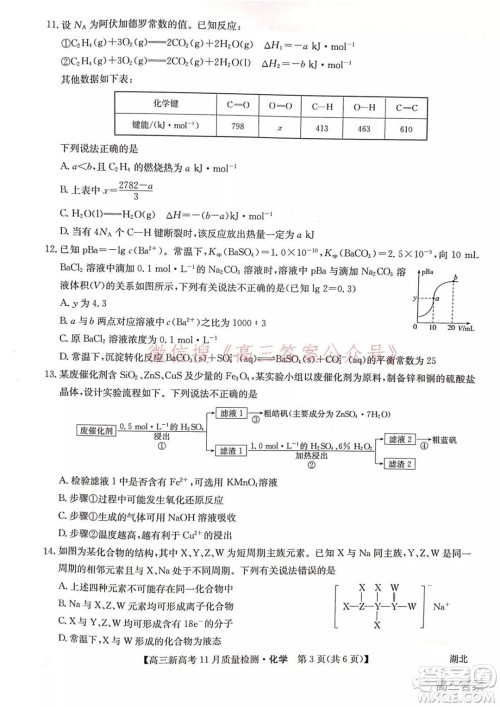 2022届九师联盟高三新高考11月质量检测化学试题及答案