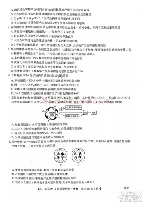 2022届九师联盟高三新高考11月质量检测生物试题及答案