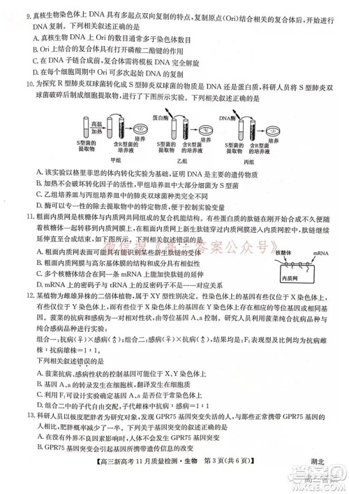 2022届九师联盟高三新高考11月质量检测生物试题及答案 2022届九师联盟高三新高考11月质量检测生物试题及答案