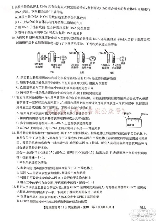 2022届九师联盟高三新高考11月质量检测生物试题及答案