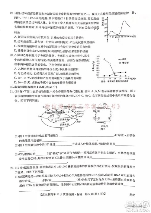 2022届九师联盟高三新高考11月质量检测生物试题及答案 2022届九师联盟高三新高考11月质量检测生物试题及答案
