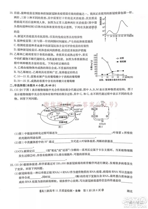 2022届九师联盟高三新高考11月质量检测生物试题及答案