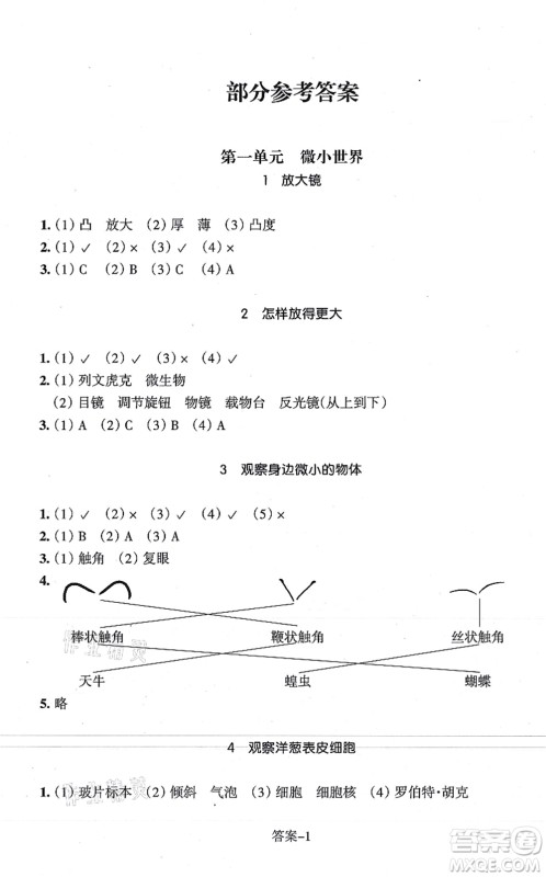 浙江少年儿童出版社2021每课一练六年级科学上册J教科版答案