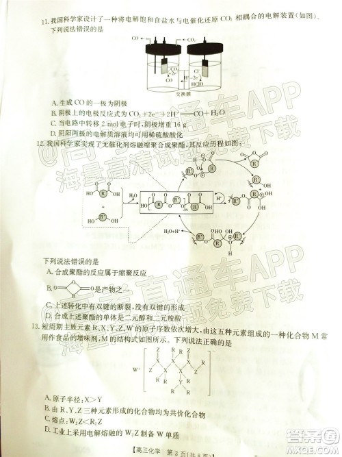 2022届广东金太阳高三11月联考化学试题及答案