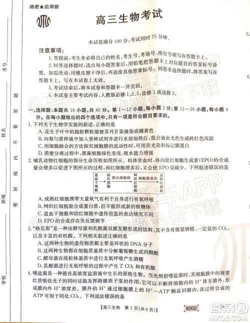 2022届广东金太阳高三11月联考生物试题及答案